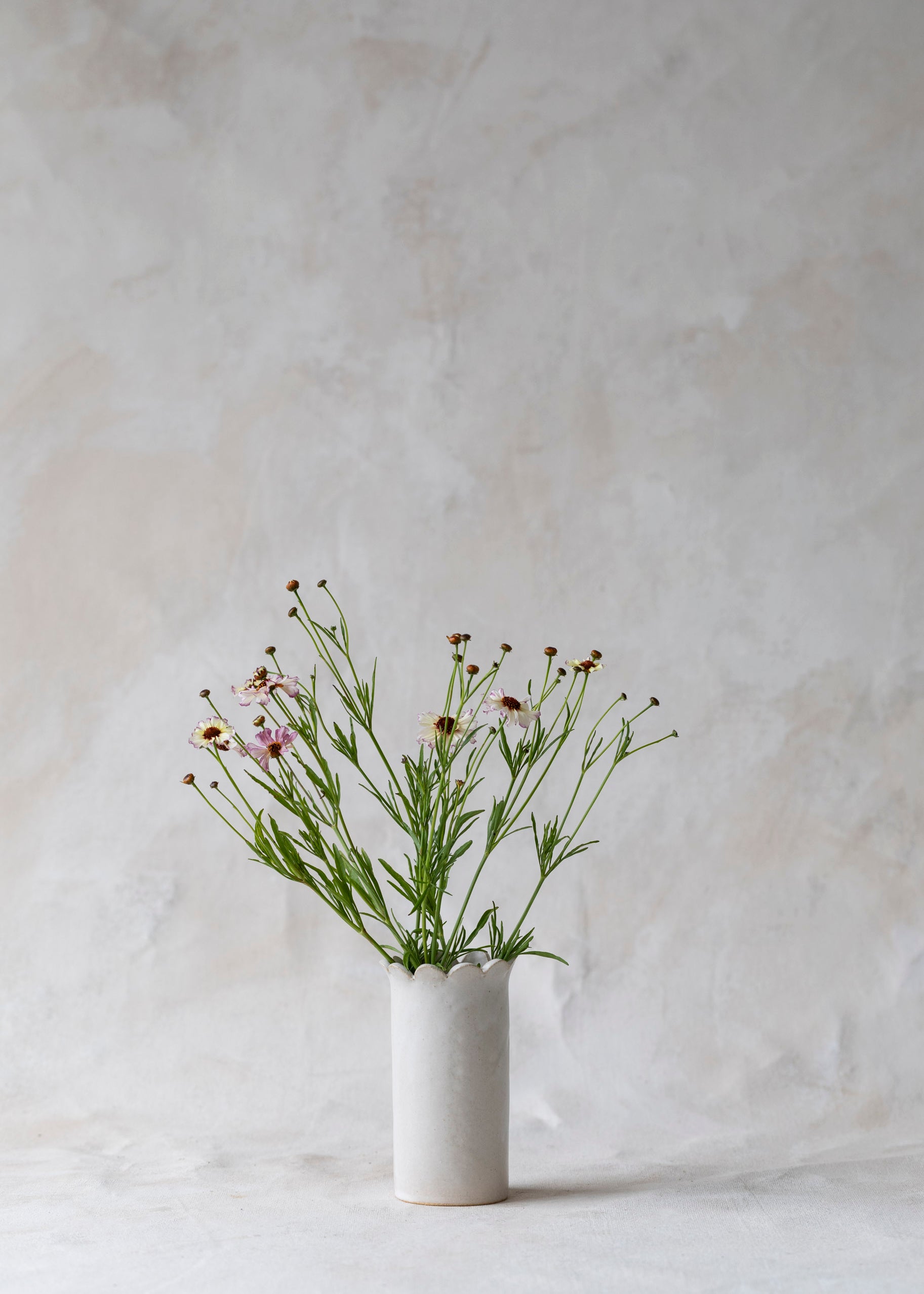 scallop_vases-4.jpg