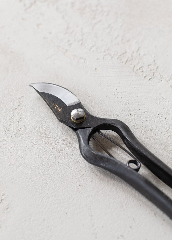 sentei_secateurs-4.jpg