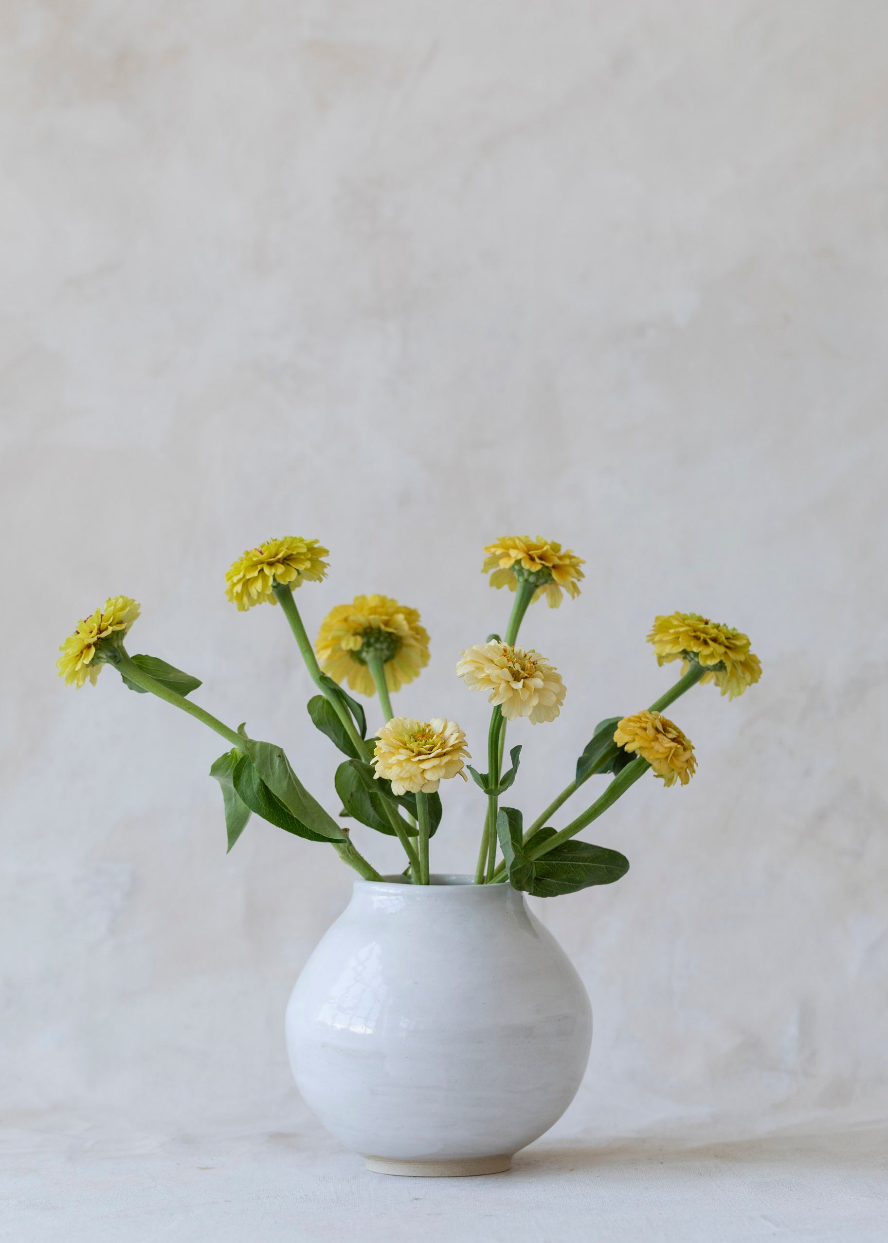 small_glossy_moon_vase.jpg