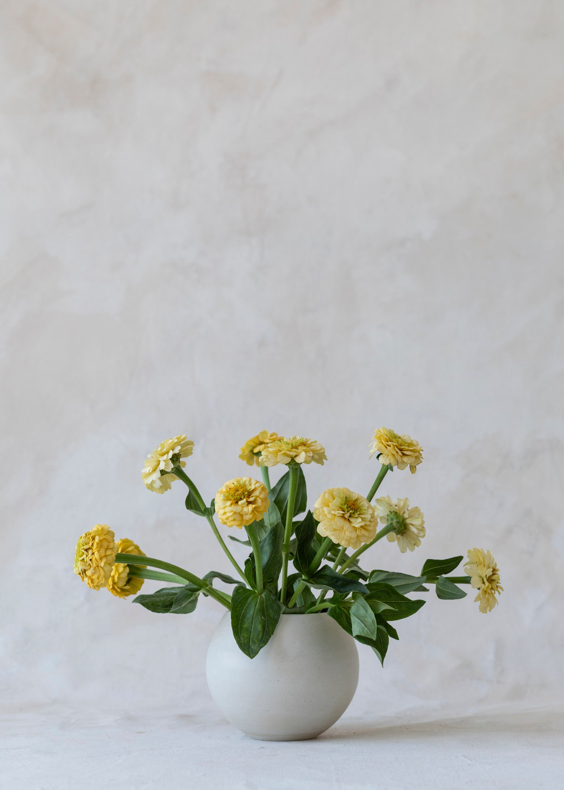 small_speckle_moon_vase.jpg