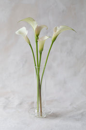 Glass Towers Vases