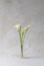 Glass Towers Vases