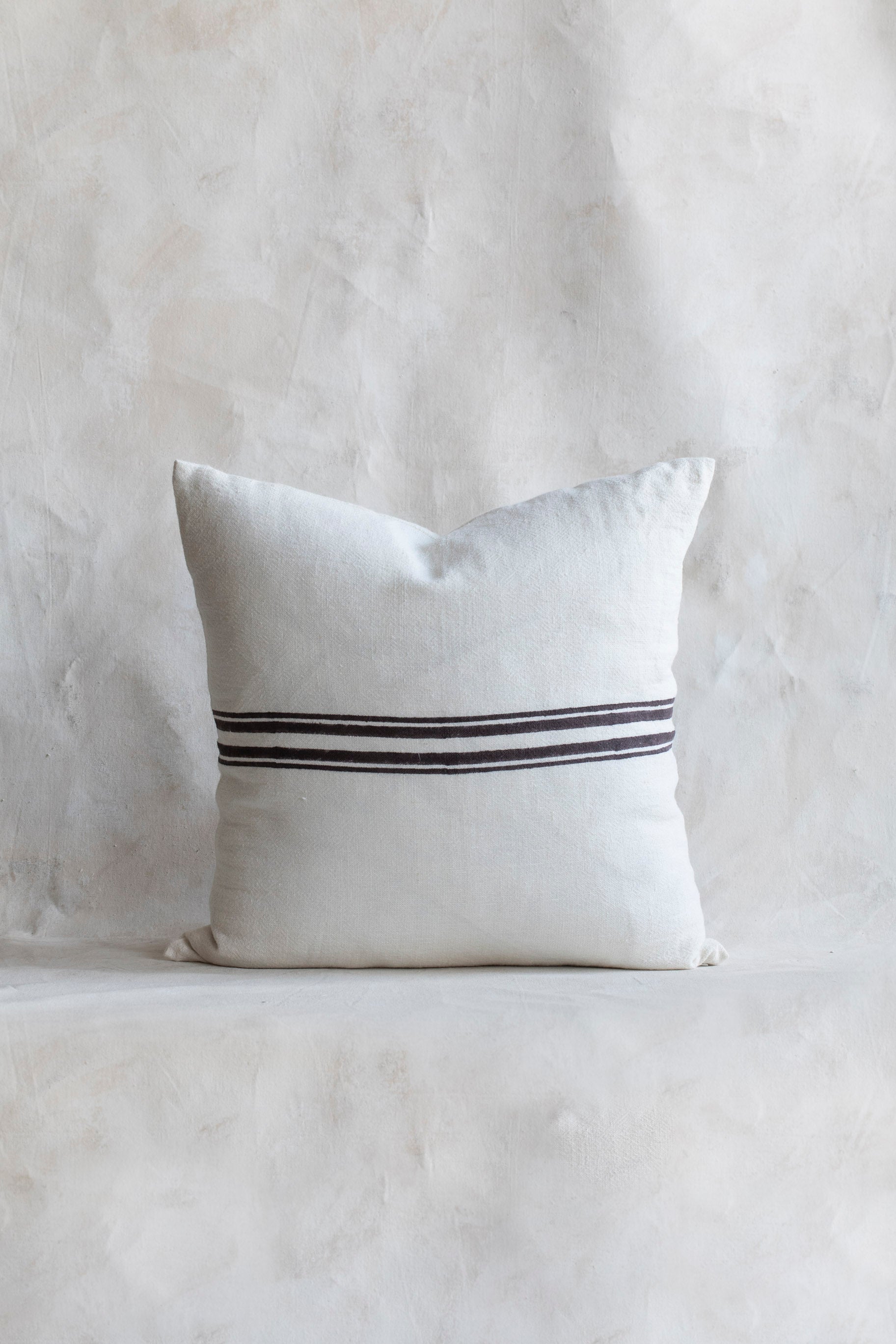 swanee_coco_on_white_pillow.jpg