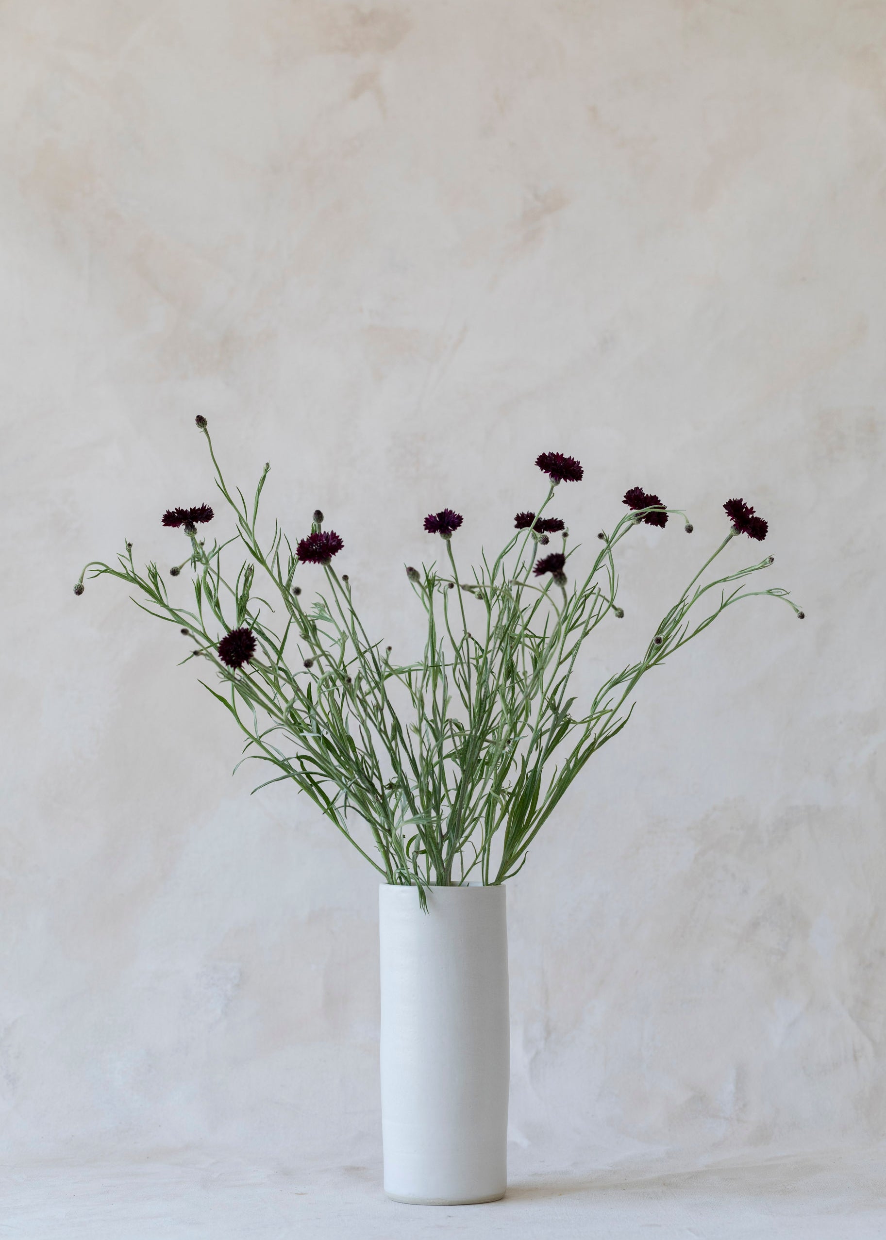 tall_cylinder_vase.jpg