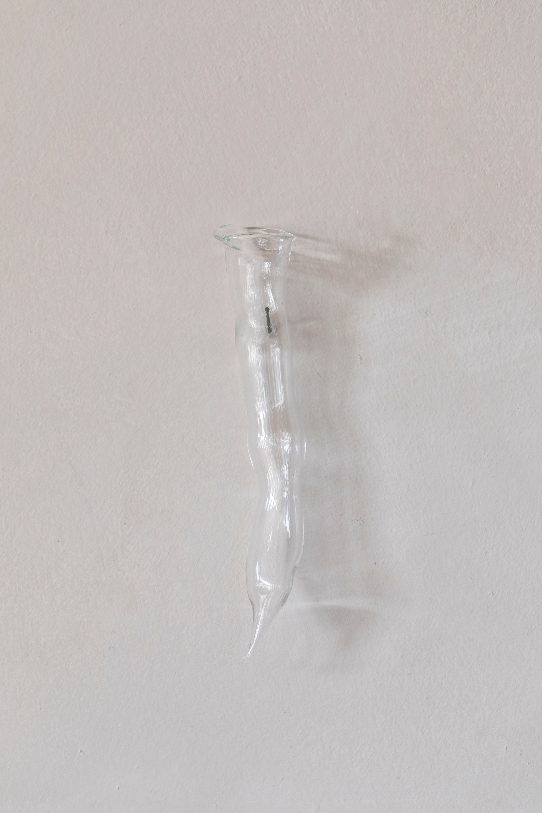 Vertical Glass Wall Vases