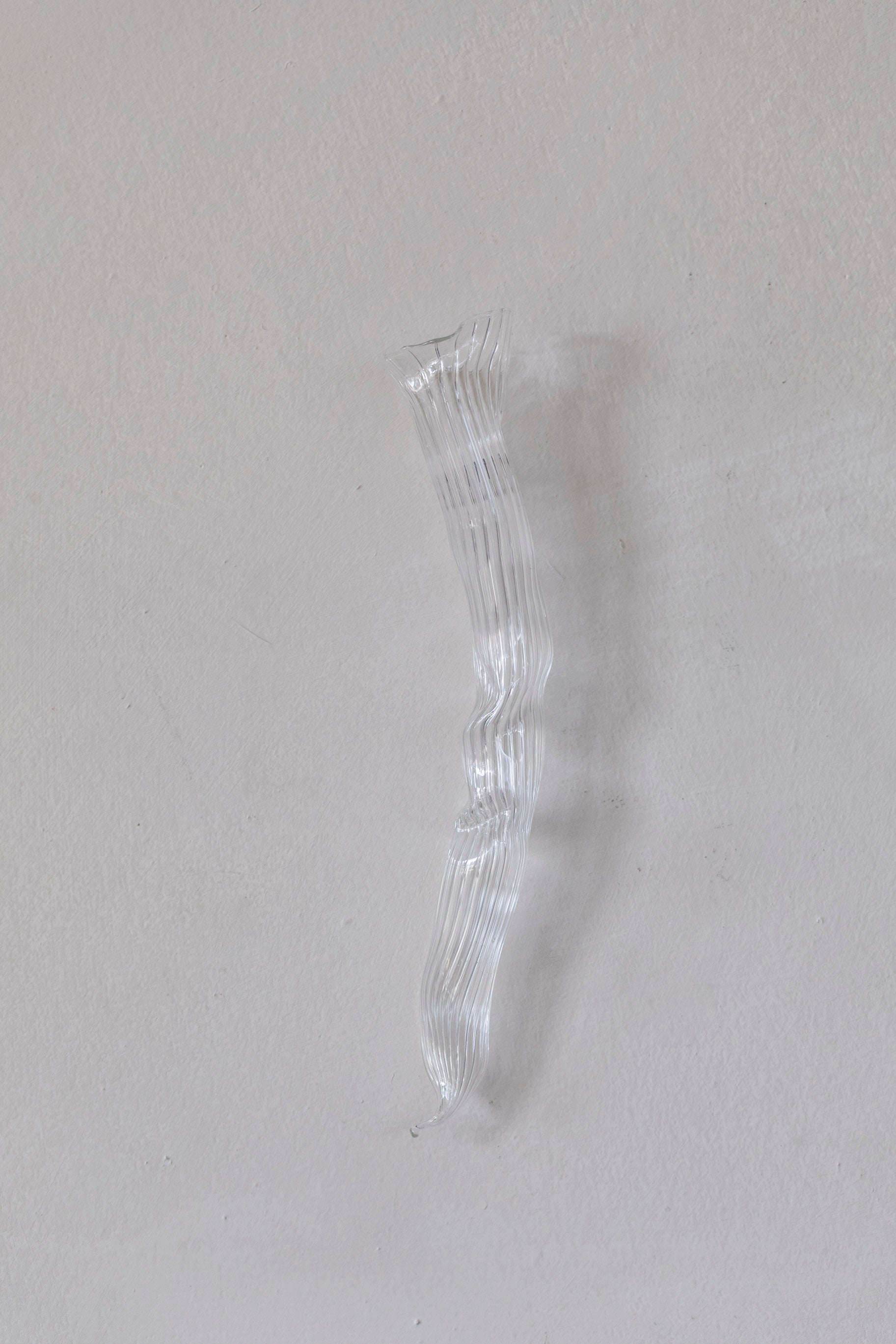 Vertical Glass Wall Vases