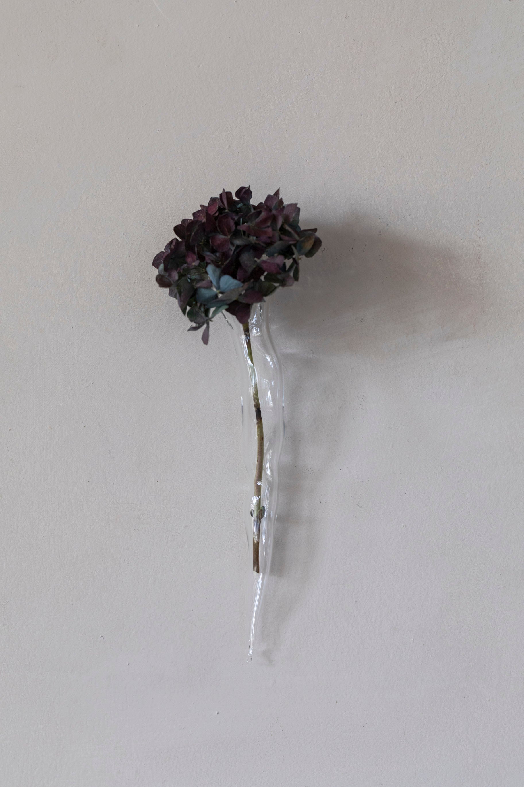 Vertical Glass Wall Vases