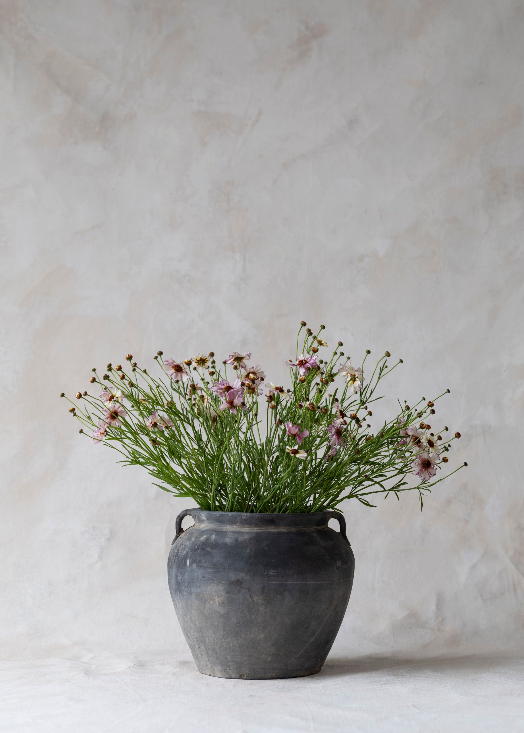 vintage_blue_gray_handled_pot-4.jpg