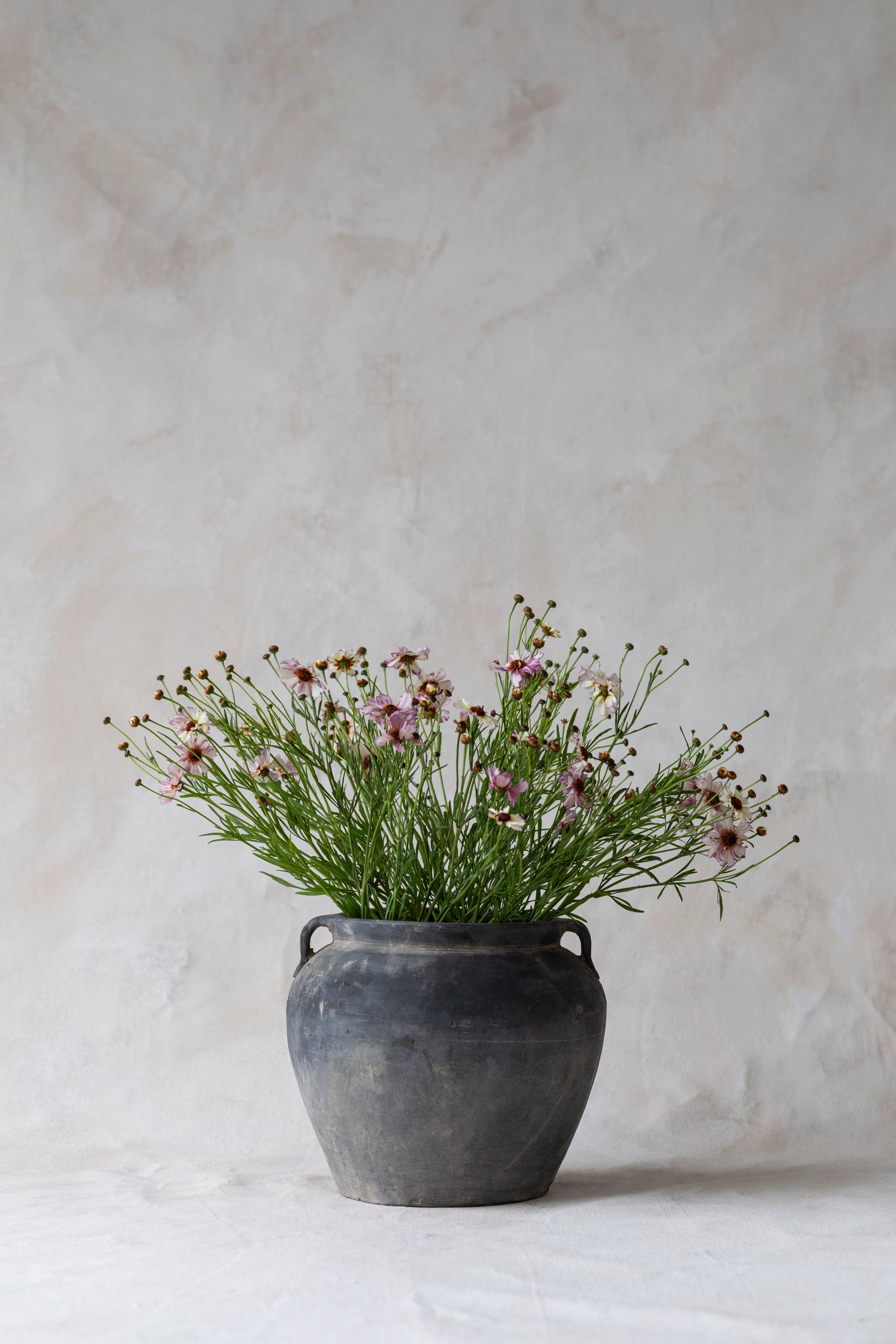 Antique Chinese Water Pot