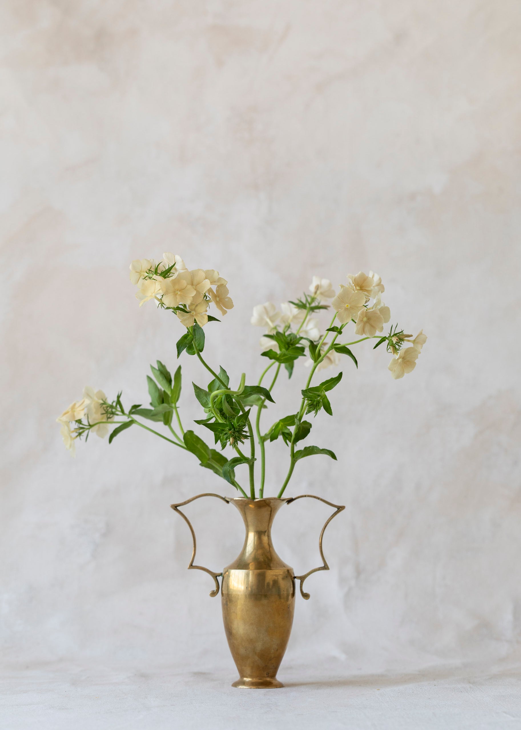vintage_brass_handled_bud_vase-3.jpg