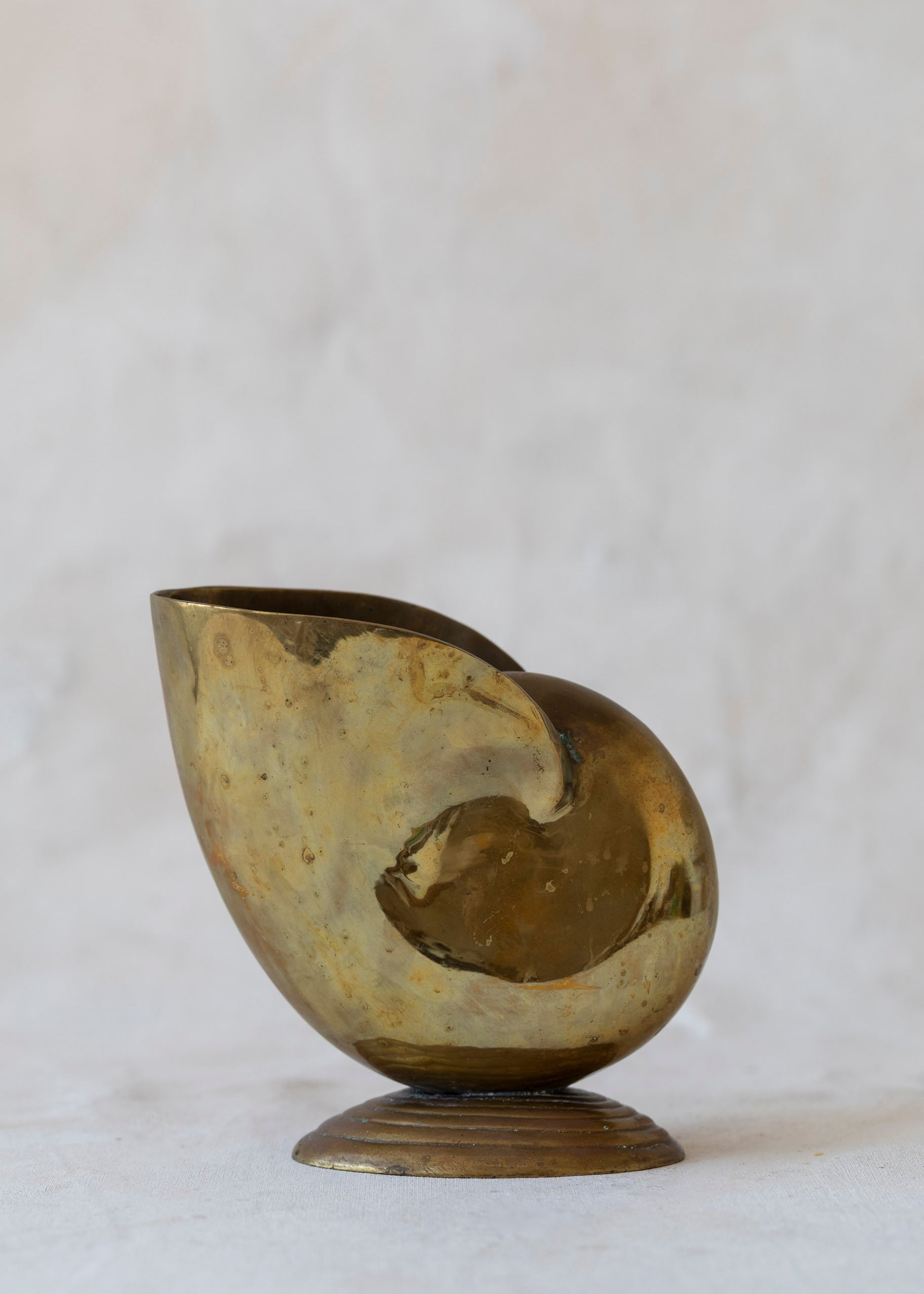 vintage_brass_shell_planter-2.jpg