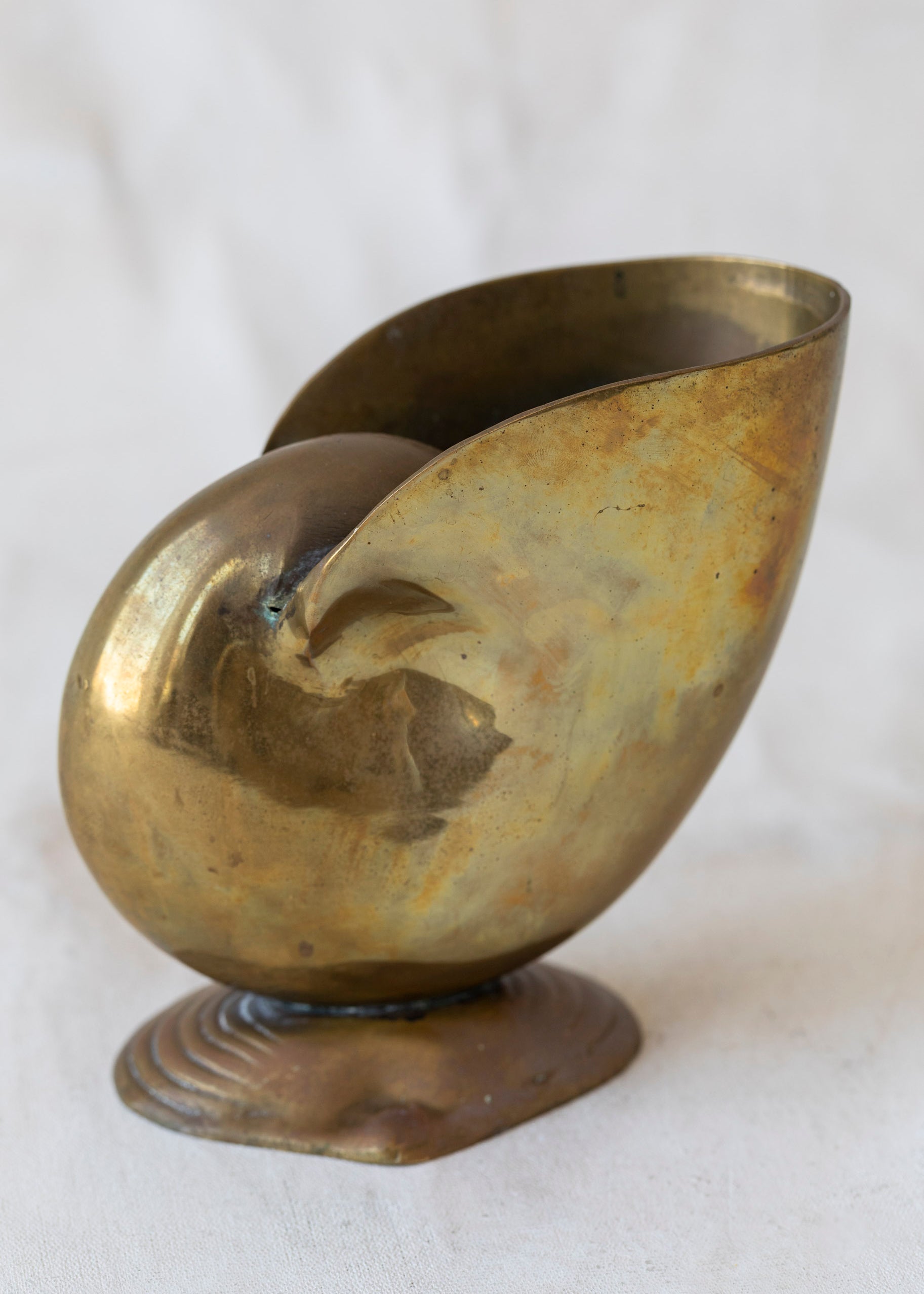 vintage_brass_shell_planter_b11febea-881f-4733-8cf2-a997c13941f0.jpg