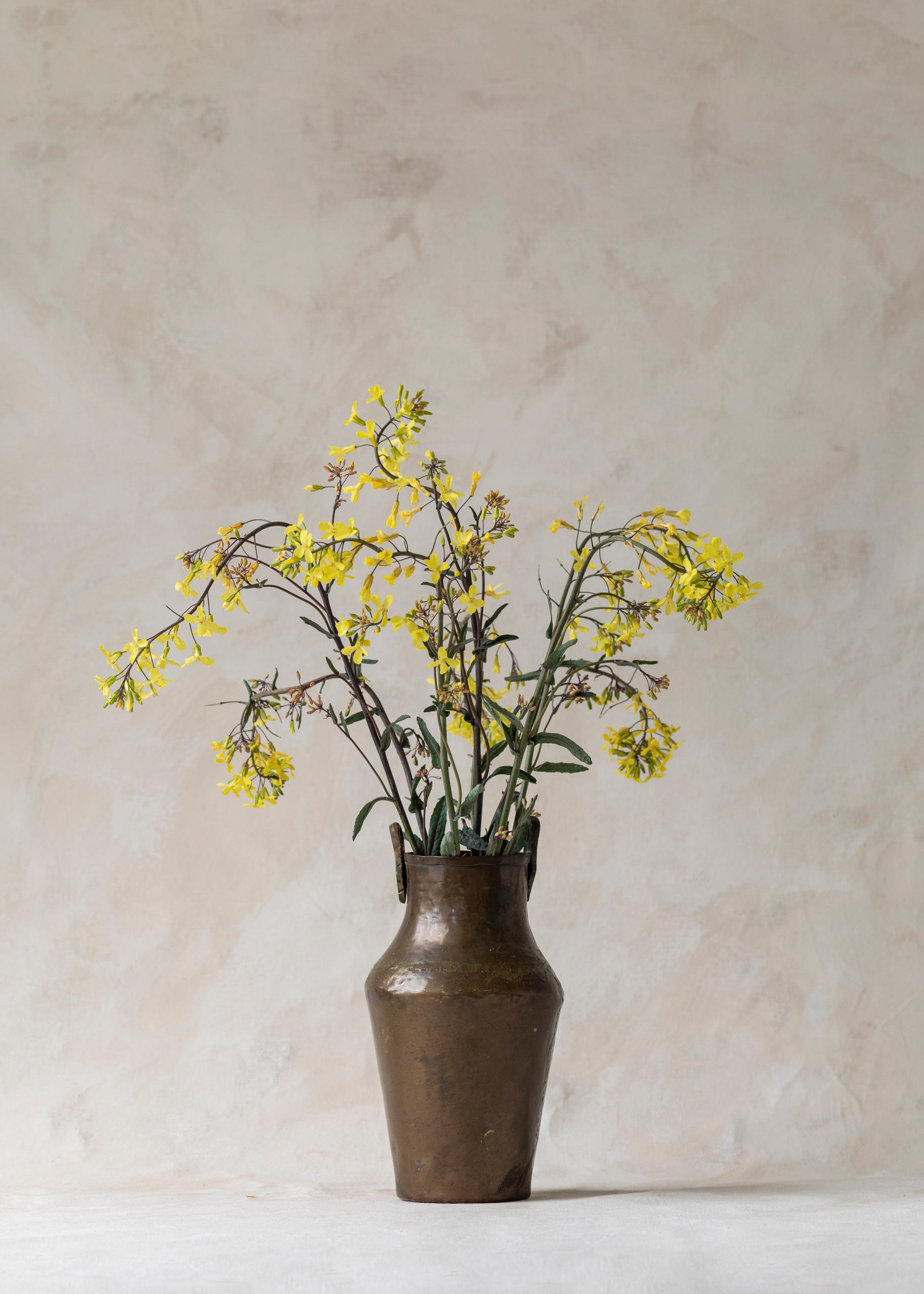 vintage_brass_small_handled_bucket_vase.jpg