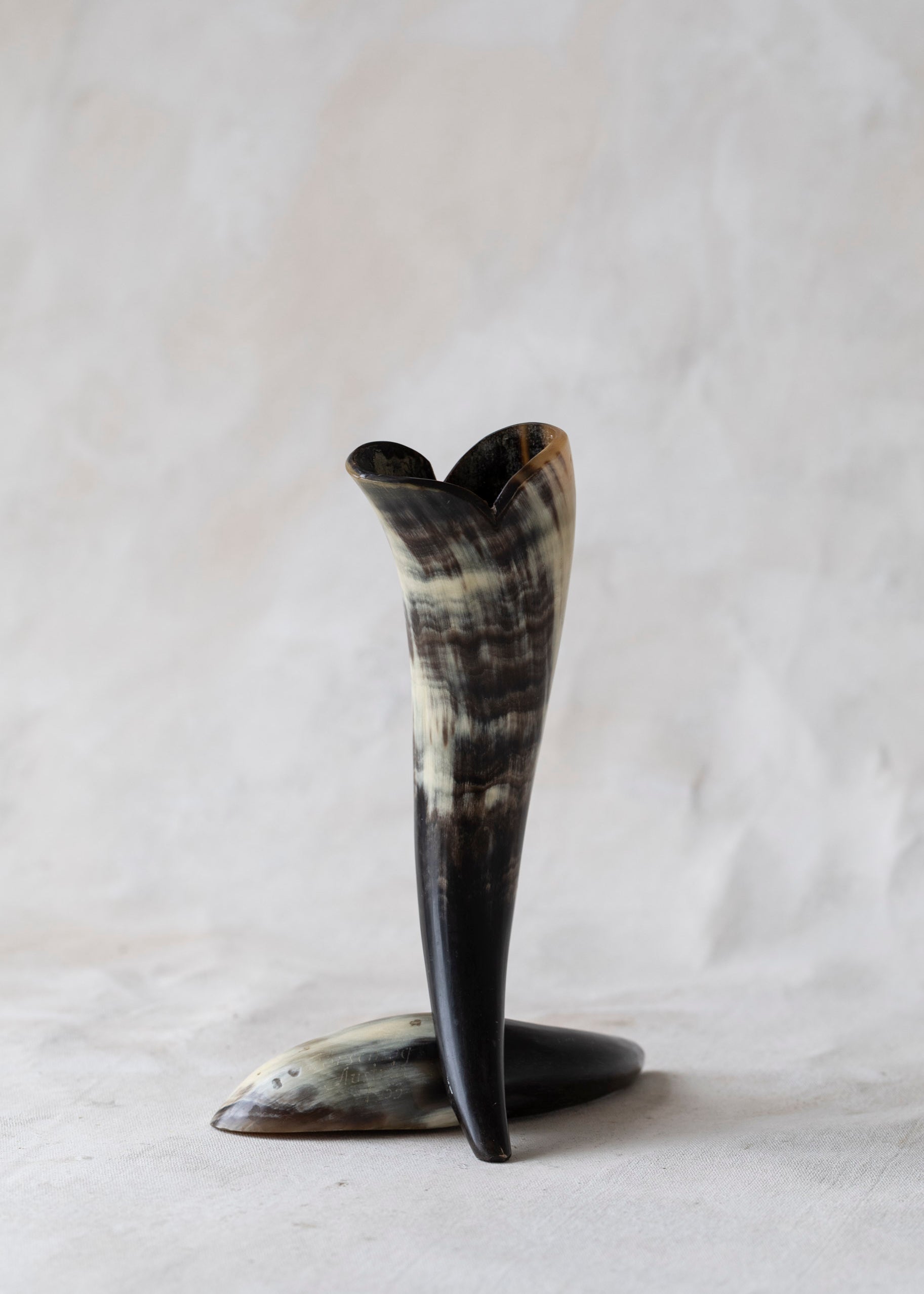 vintage_cow_horn_vase-3.jpg