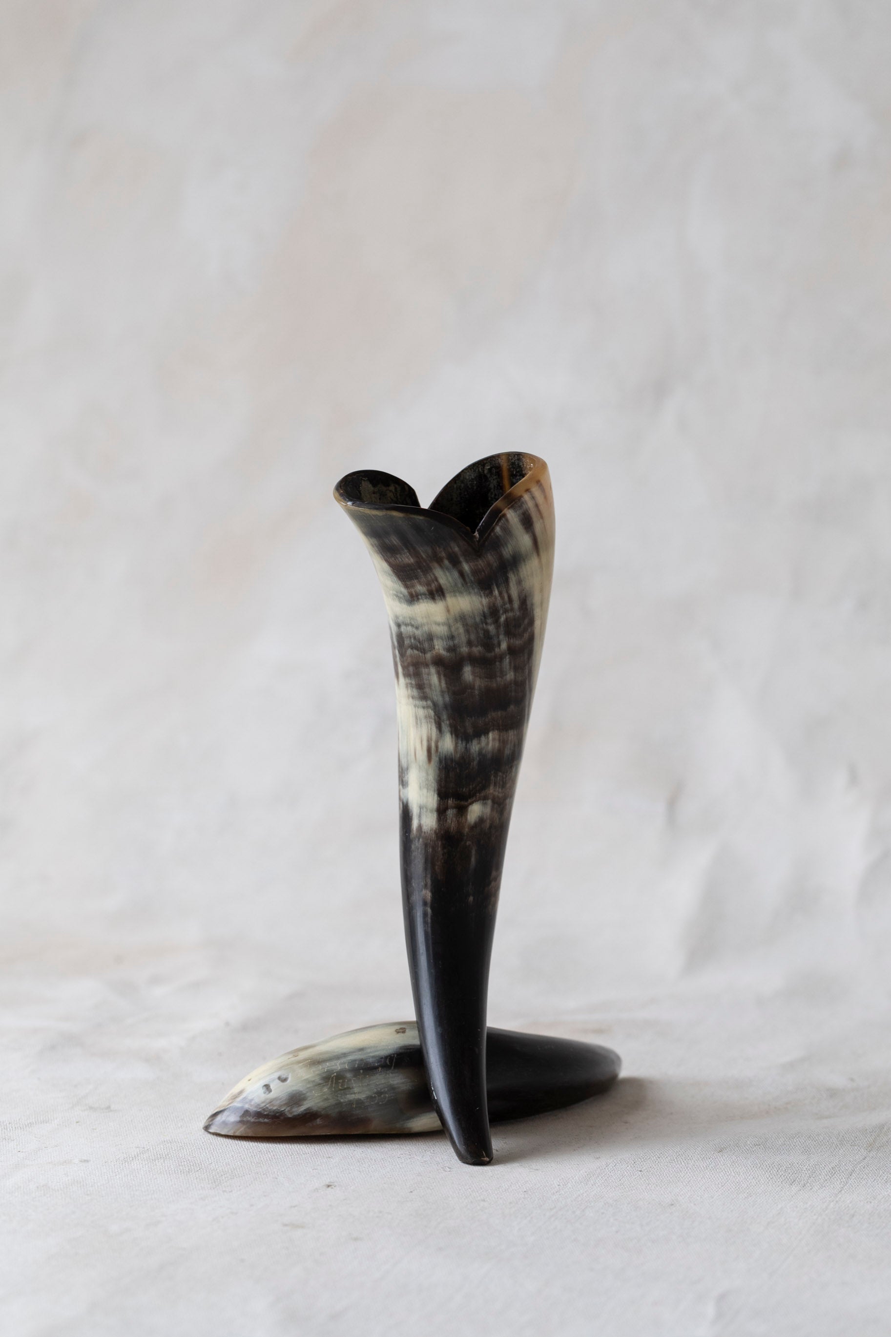 Vintage Horn Vase