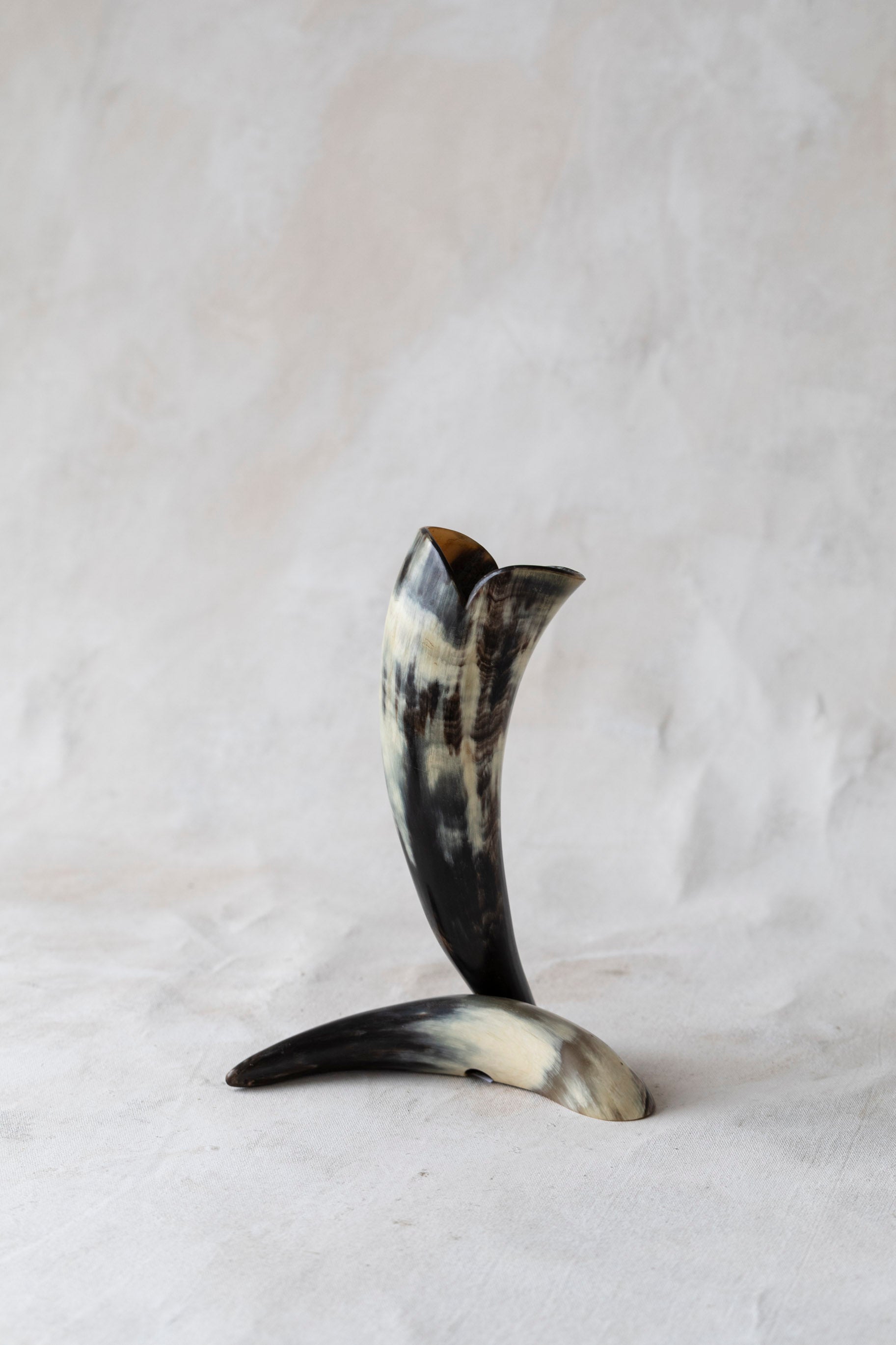 Vintage Horn Vase