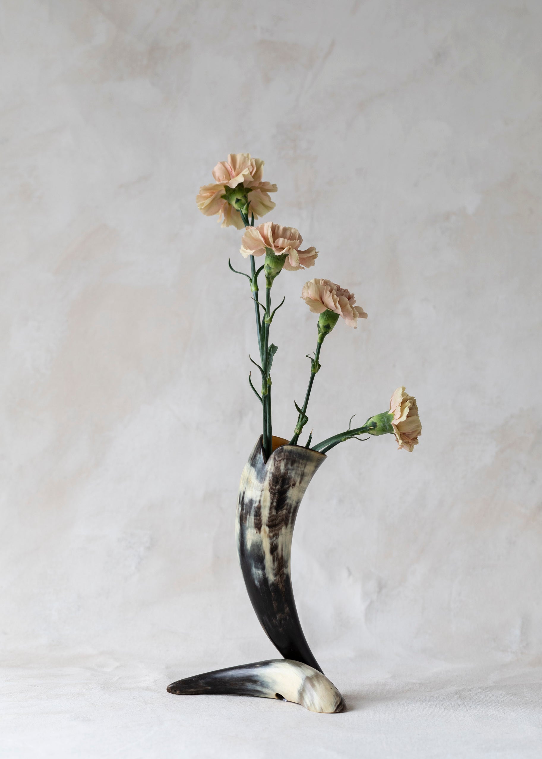 vintage_cow_horn_vase.jpg