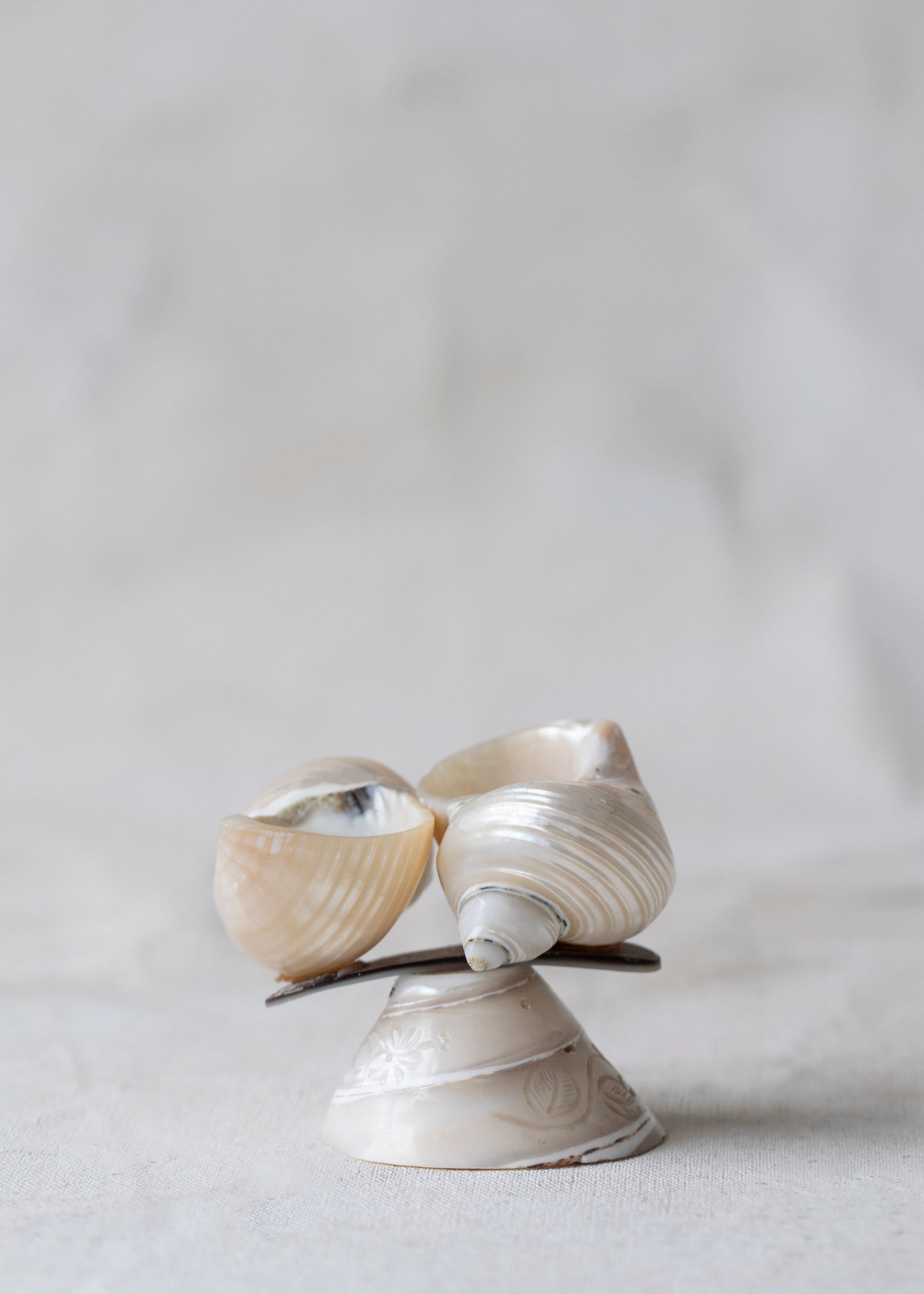 vintage_decorative_double_shell_souvenier-3.jpg
