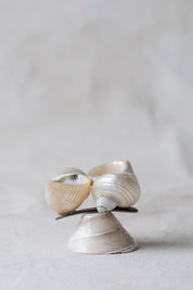 Vintage Double Shell Souvenir
