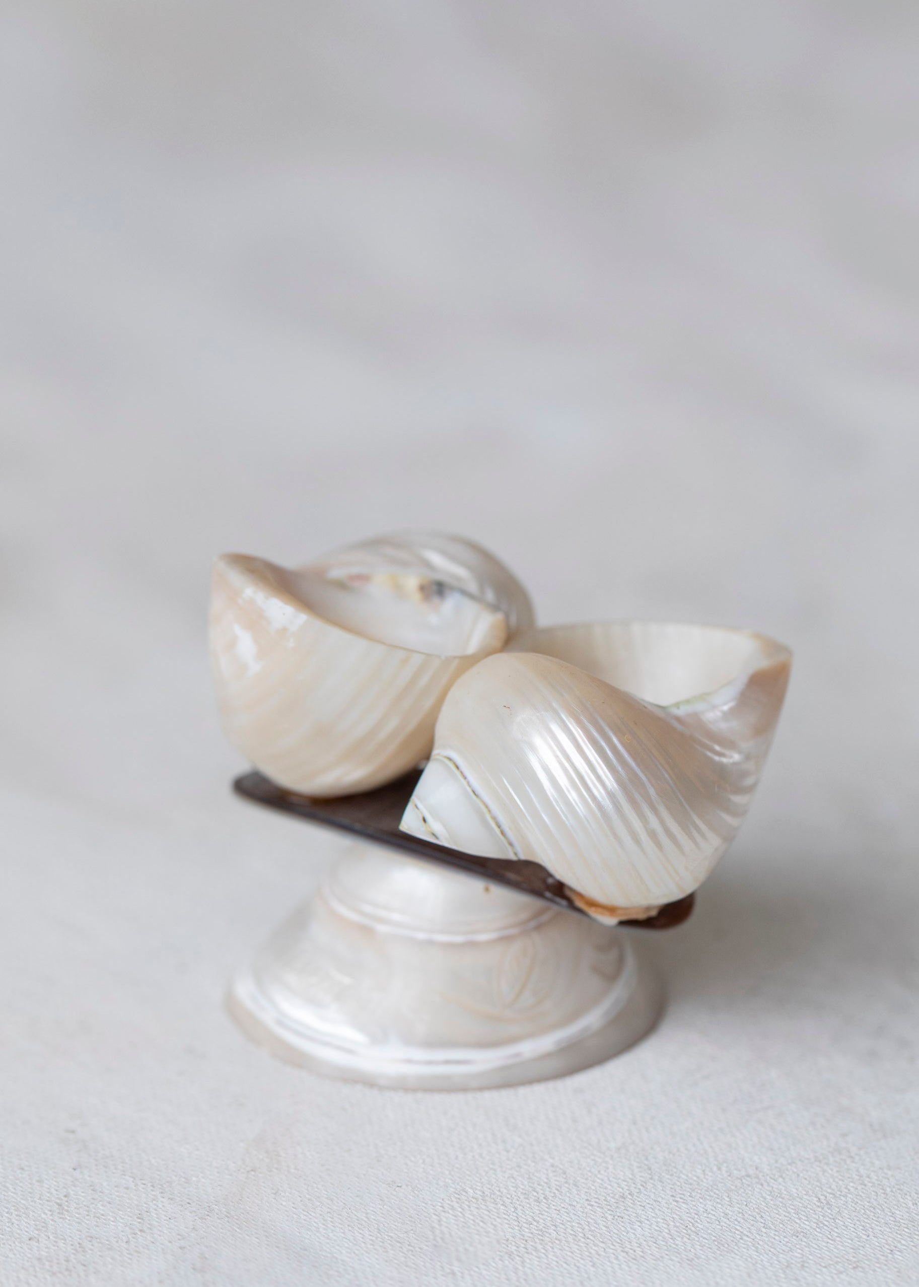 vintage_decorative_double_shell_souvenier-4.jpg
