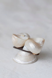 Vintage Double Shell Souvenir