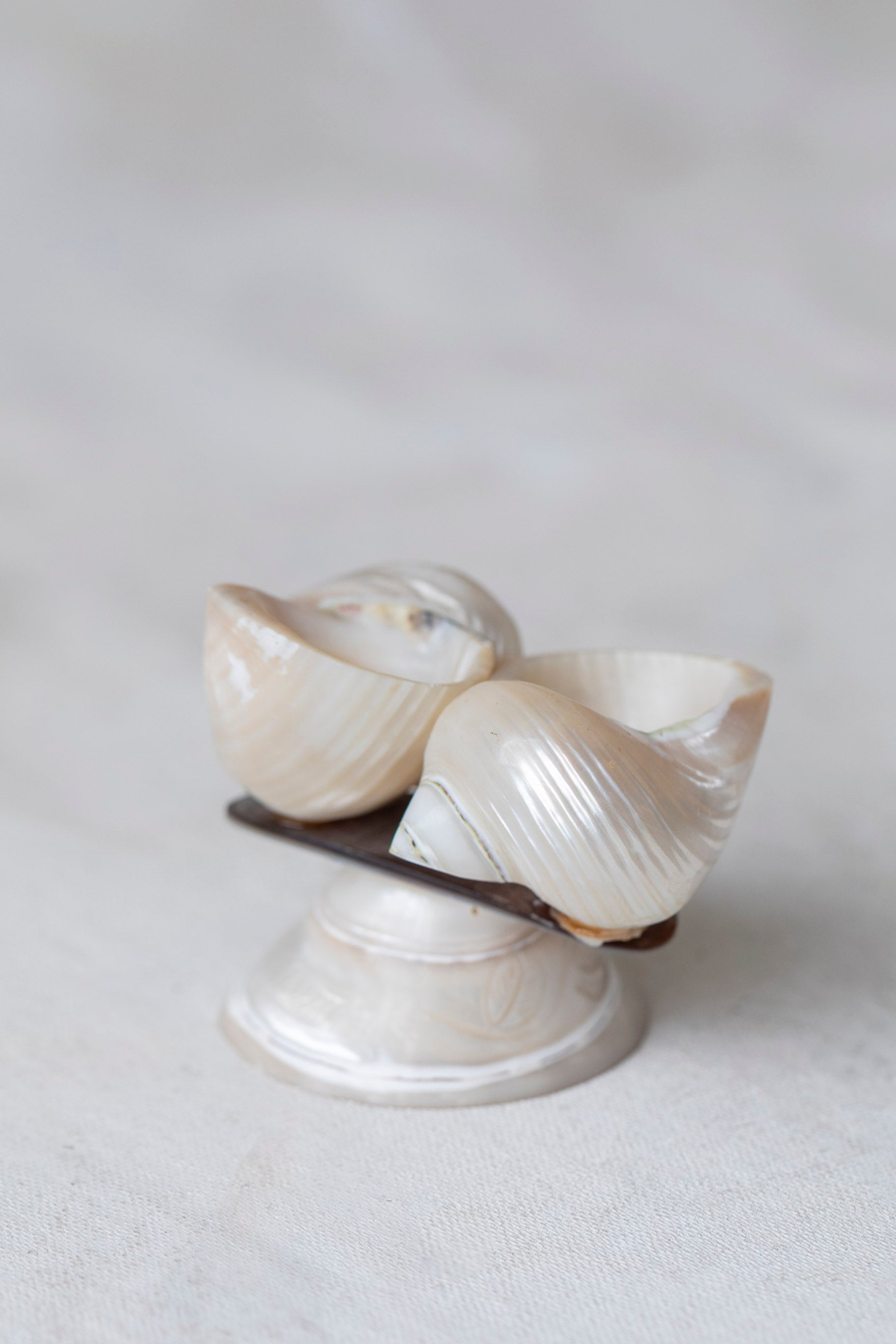 Vintage Double Shell Souvenir