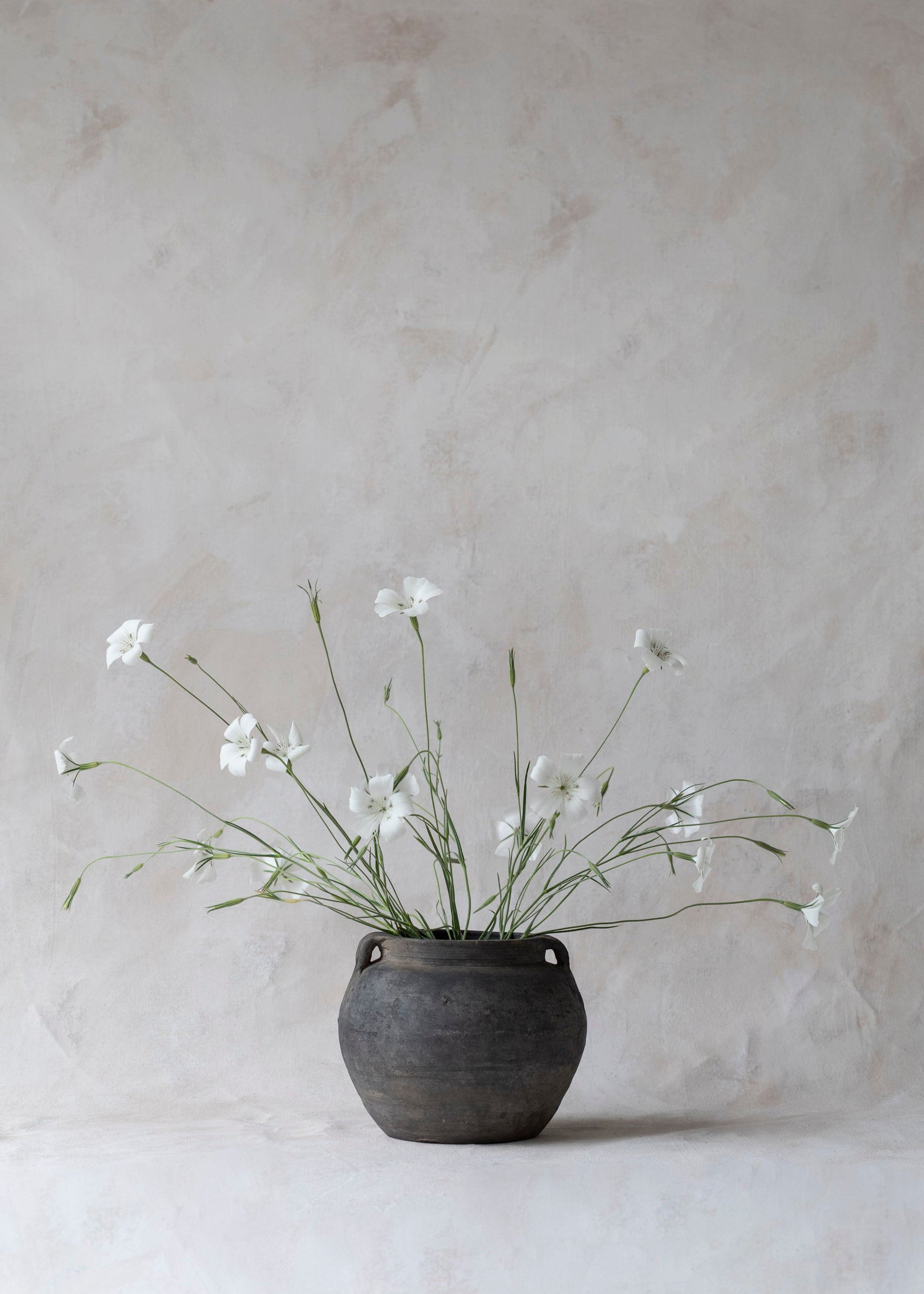 vintage_grey_handled_pot-4.jpg