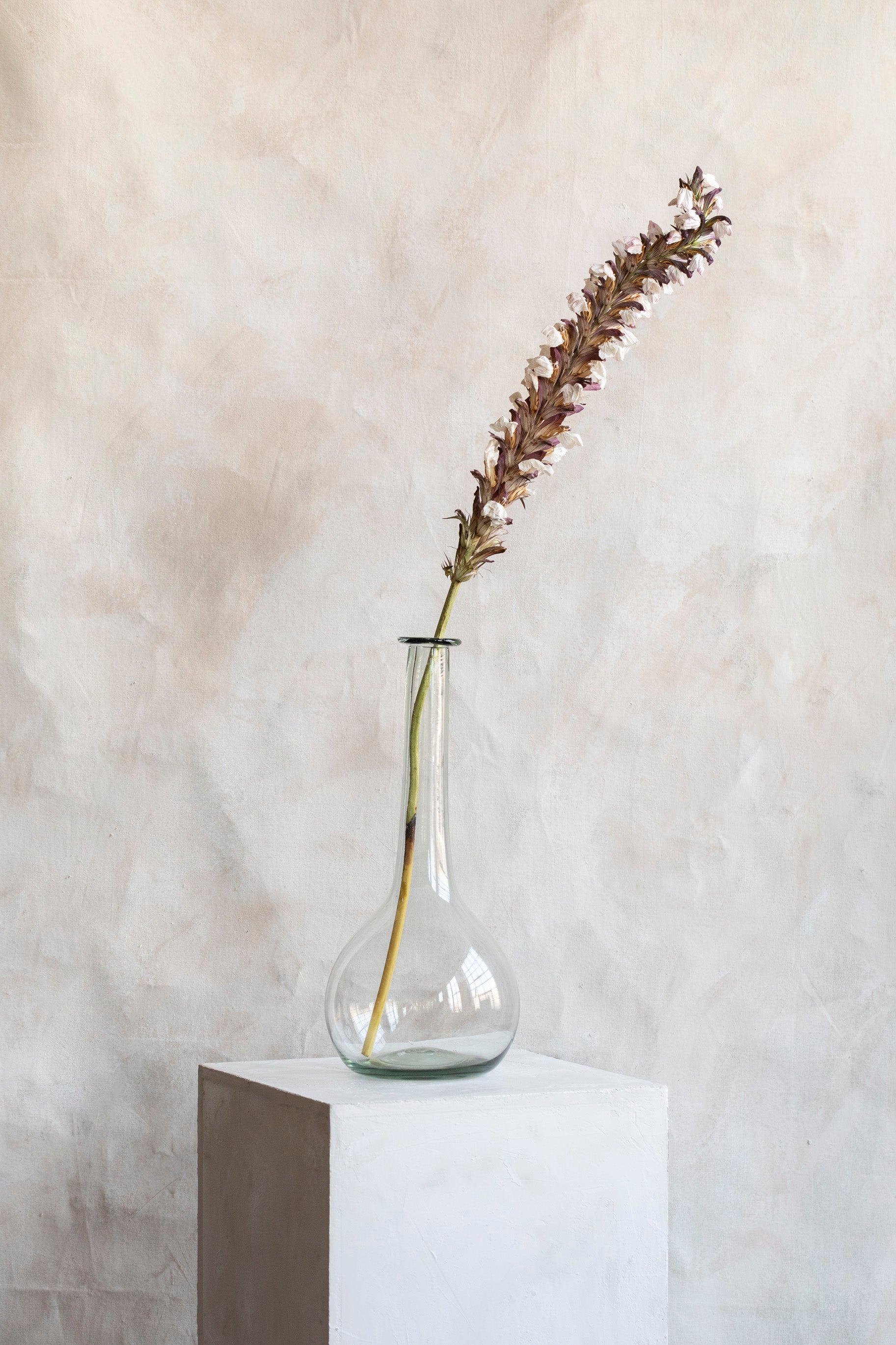 Vintage Long Neck Glass Vase