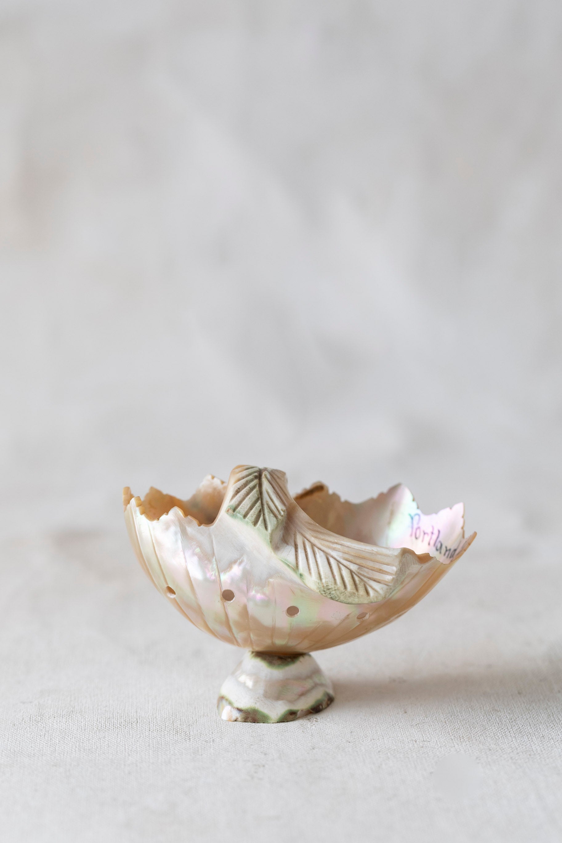 Vintage Souvenir Shell Dish