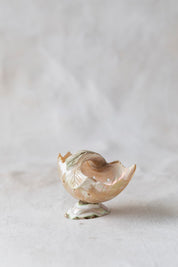 Vintage Souvenir Shell Dish