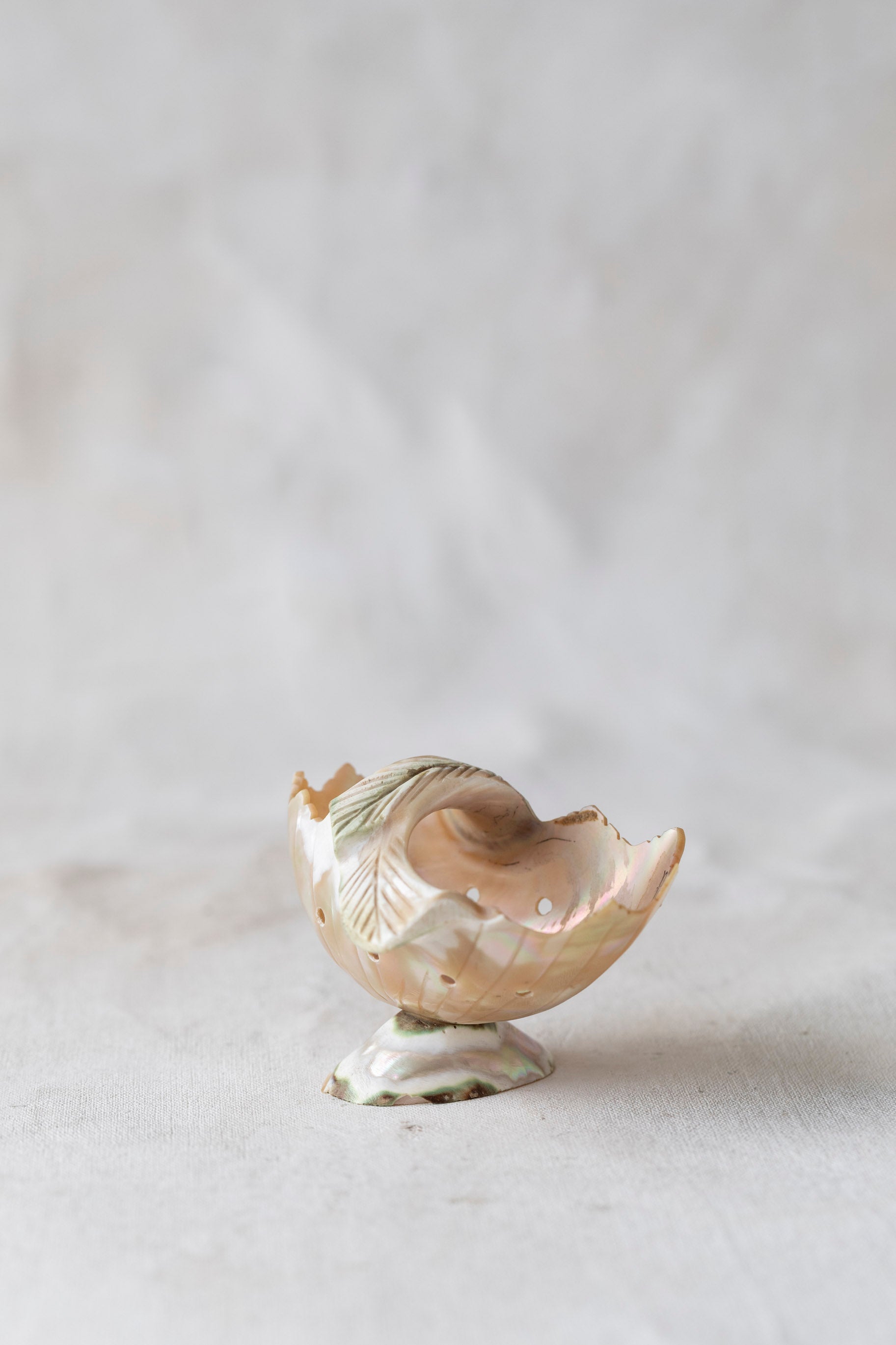 Vintage Souvenir Shell Dish