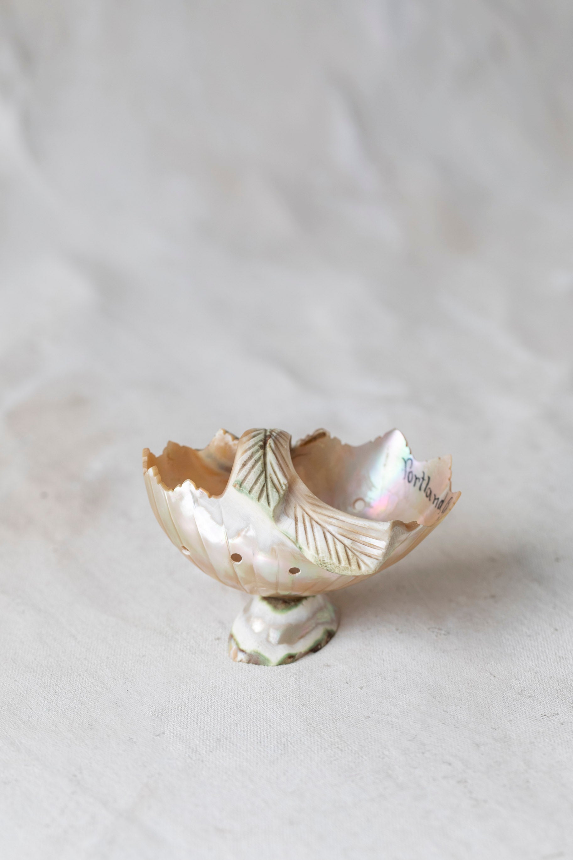 Vintage Souvenir Shell Dish