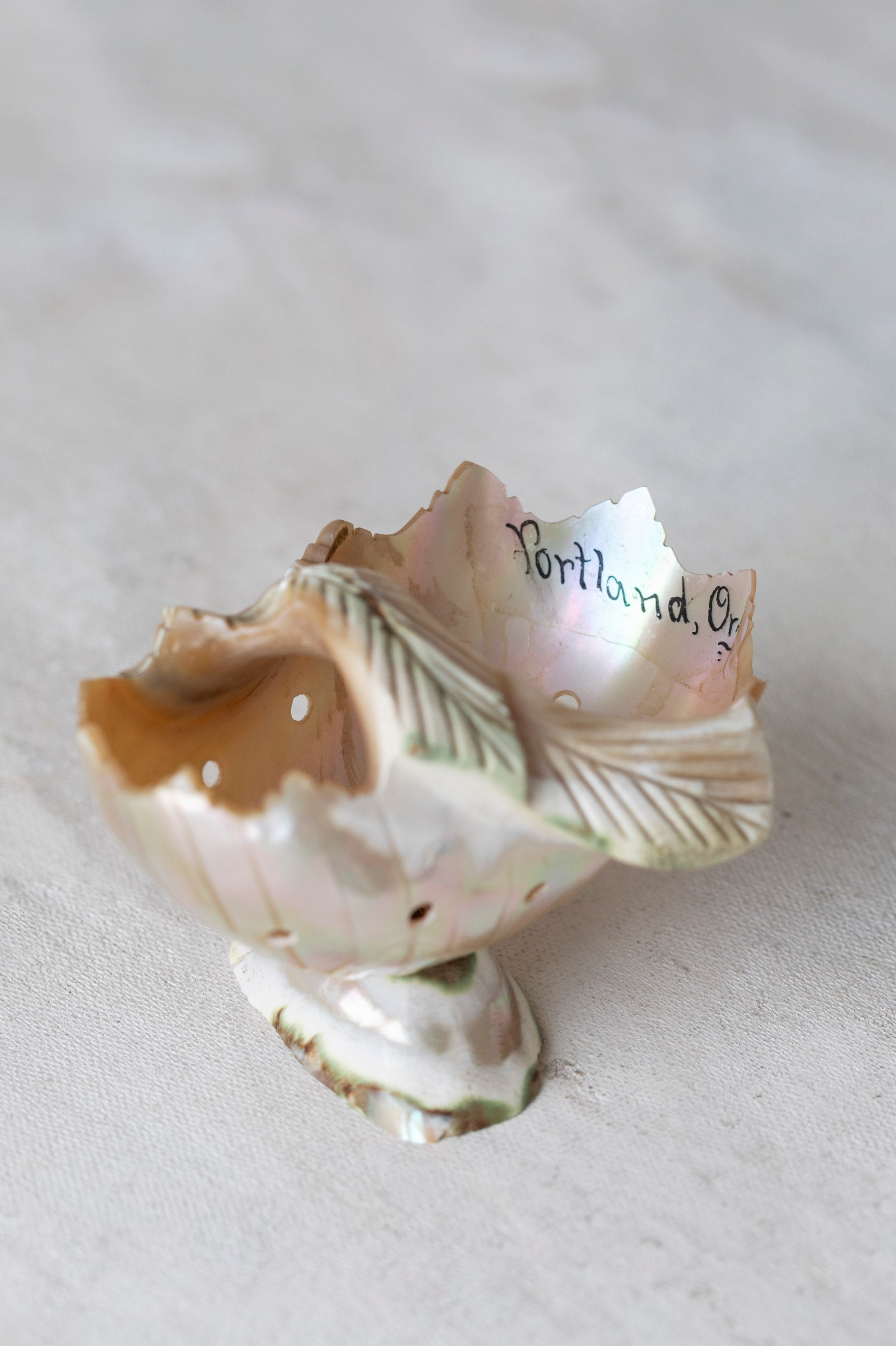 Vintage Souvenir Shell Dish