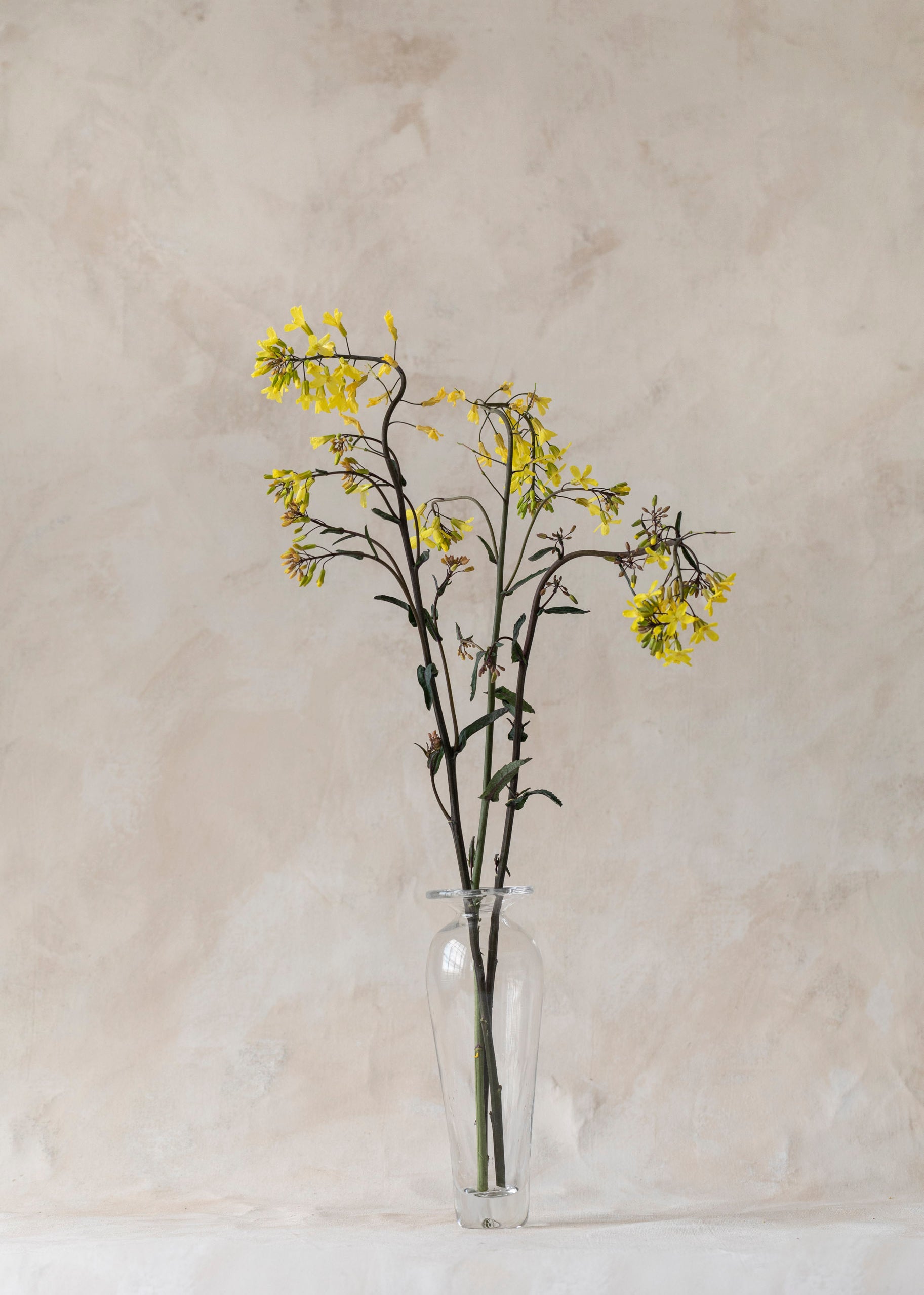 vintage_tall_tapered_vase-2.jpg