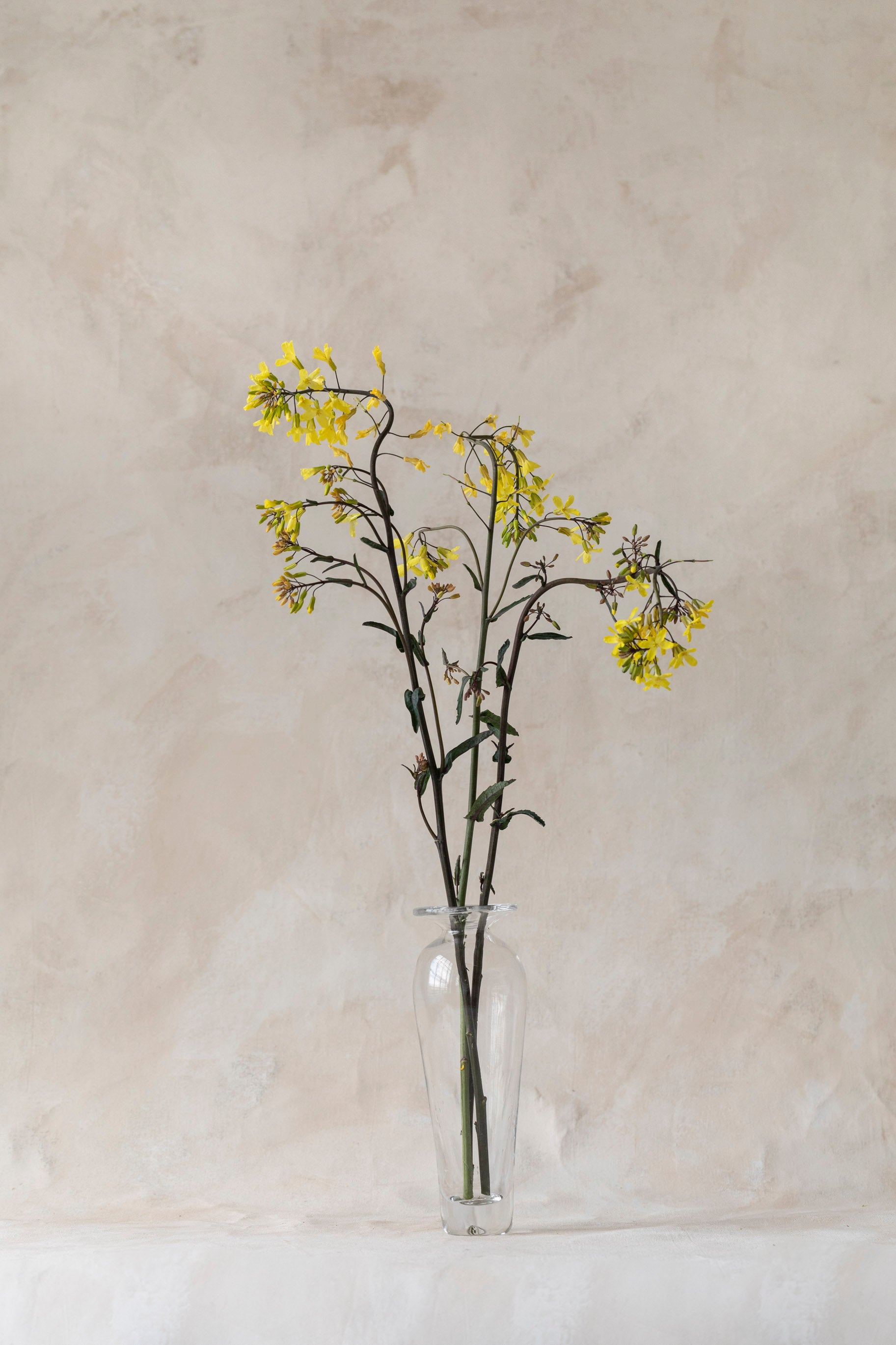 Vintage Tall Tapered Glass Vase
