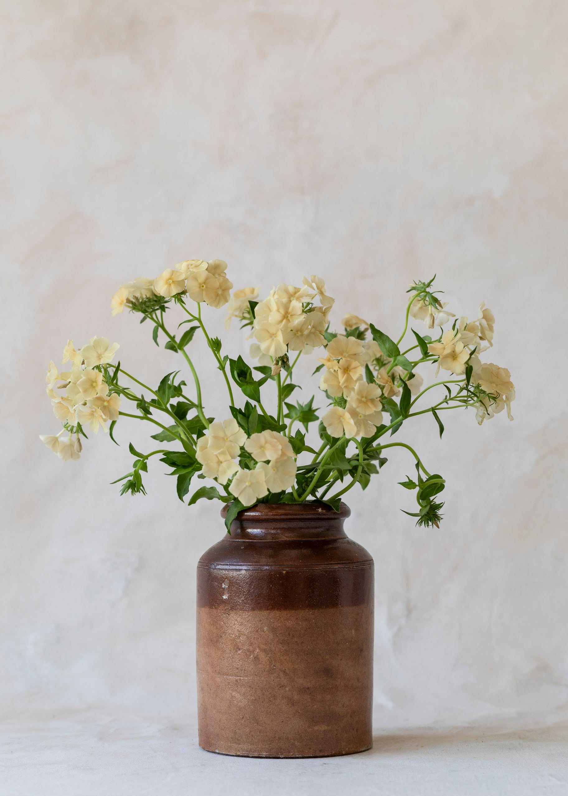 vintage_two_tone_red_stoneware_jar-3.jpg