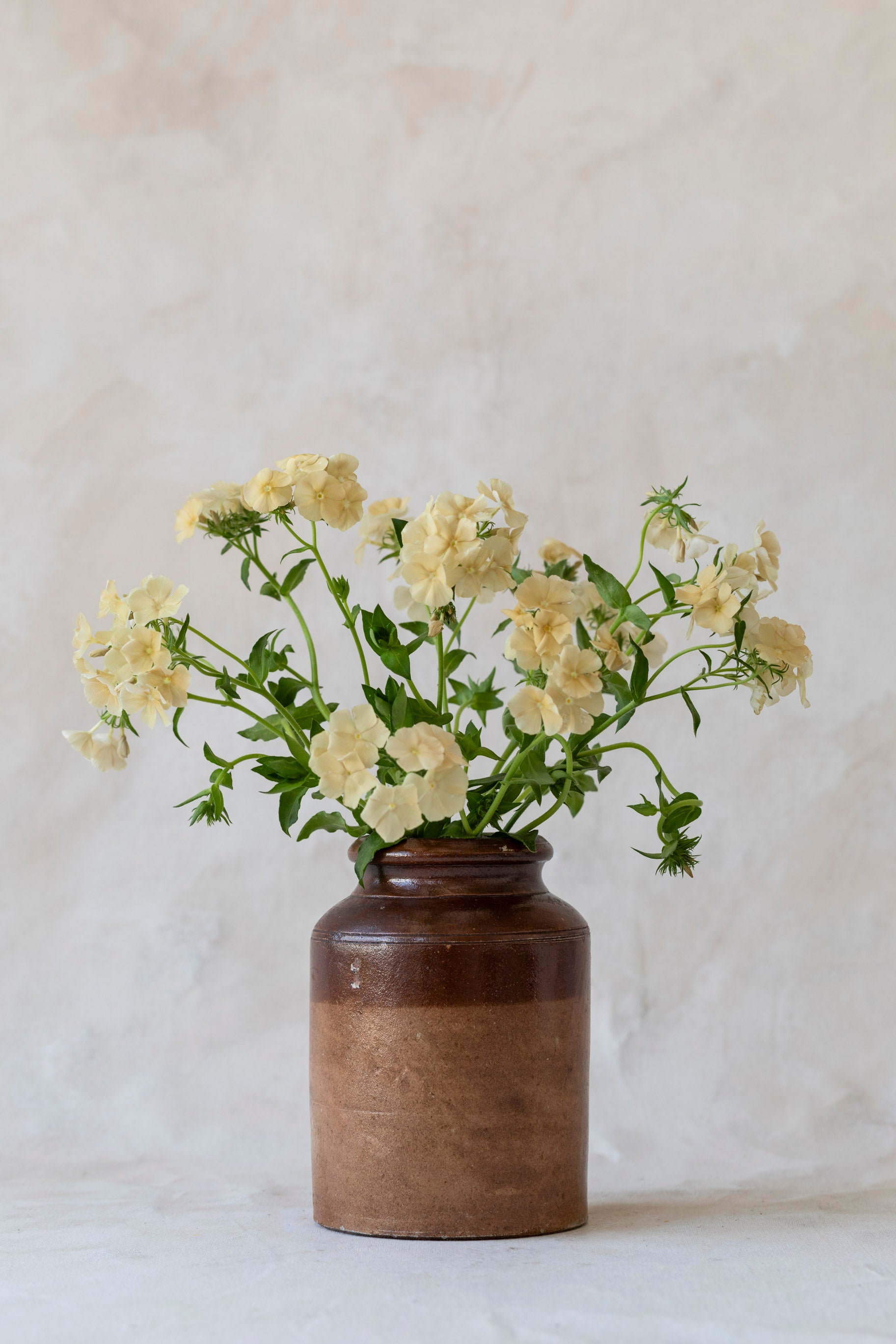 vintage_two_tone_red_stoneware_jar-3.jpg