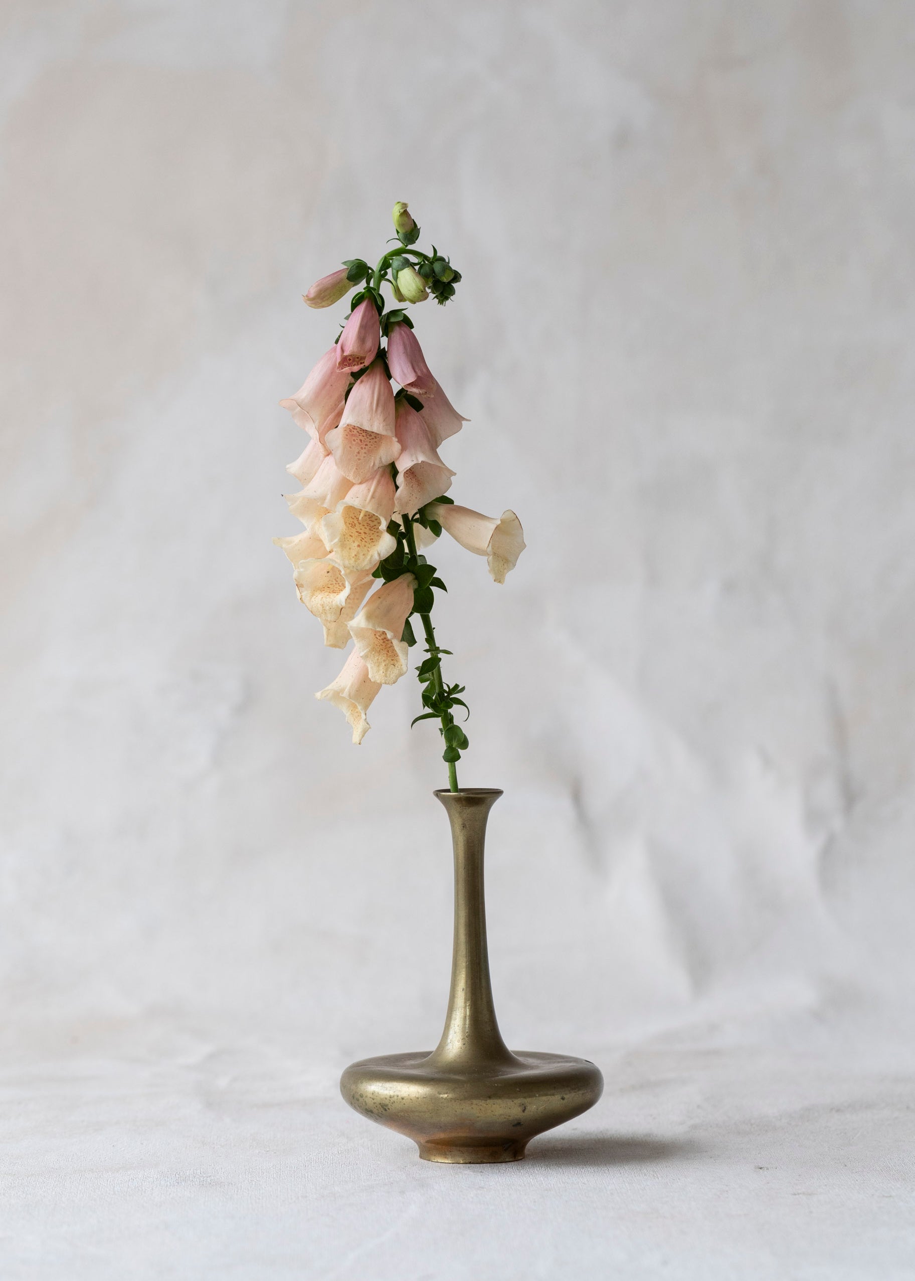 vintage_wide_brass_bud_vase-3.jpg