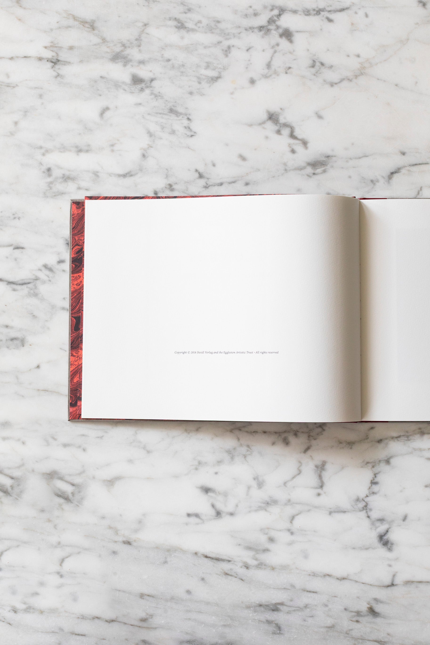 William Eggleston: Flowers