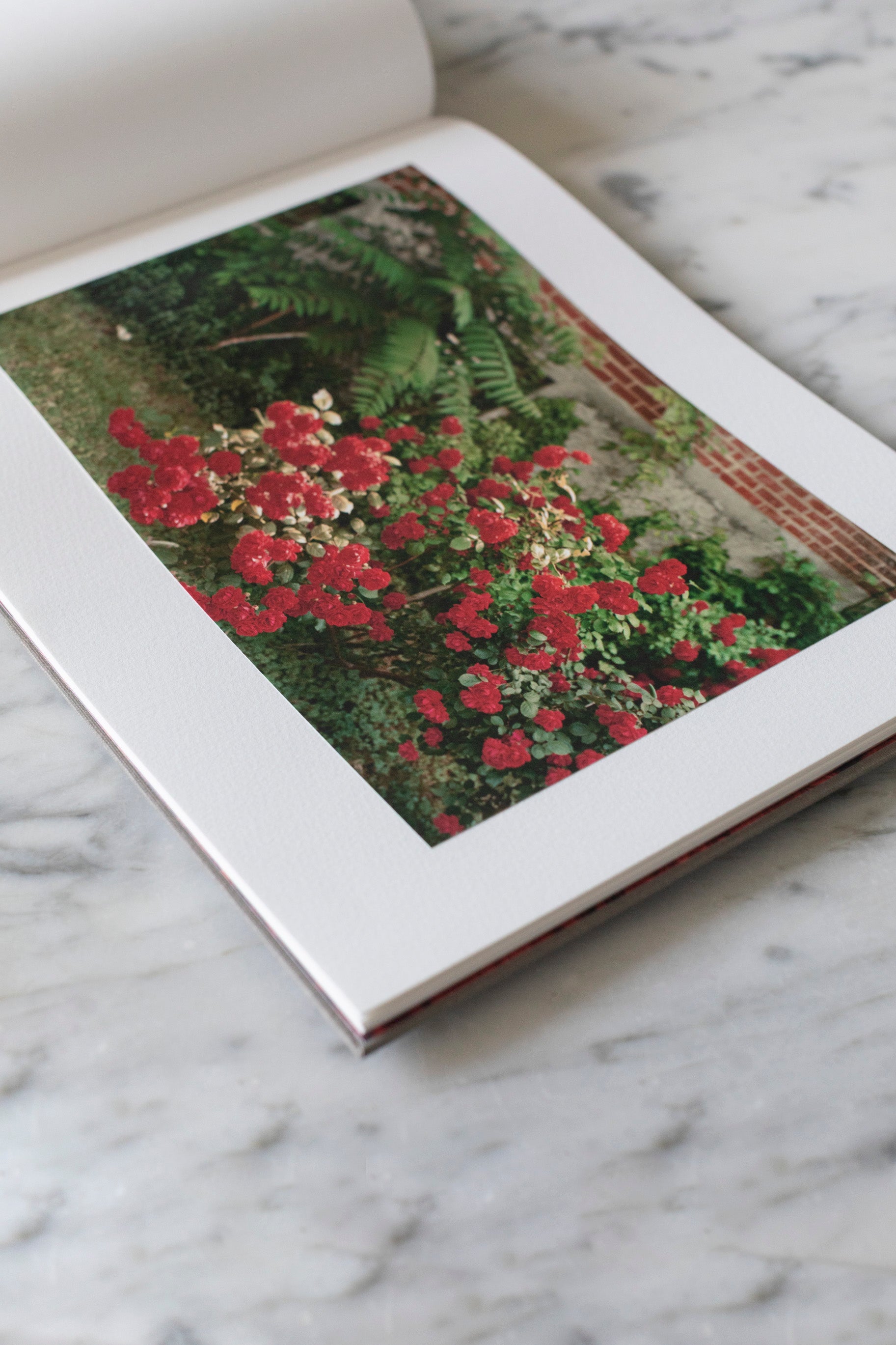 William Eggleston: Flowers
