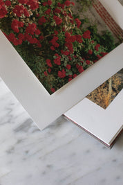 William Eggleston: Flowers