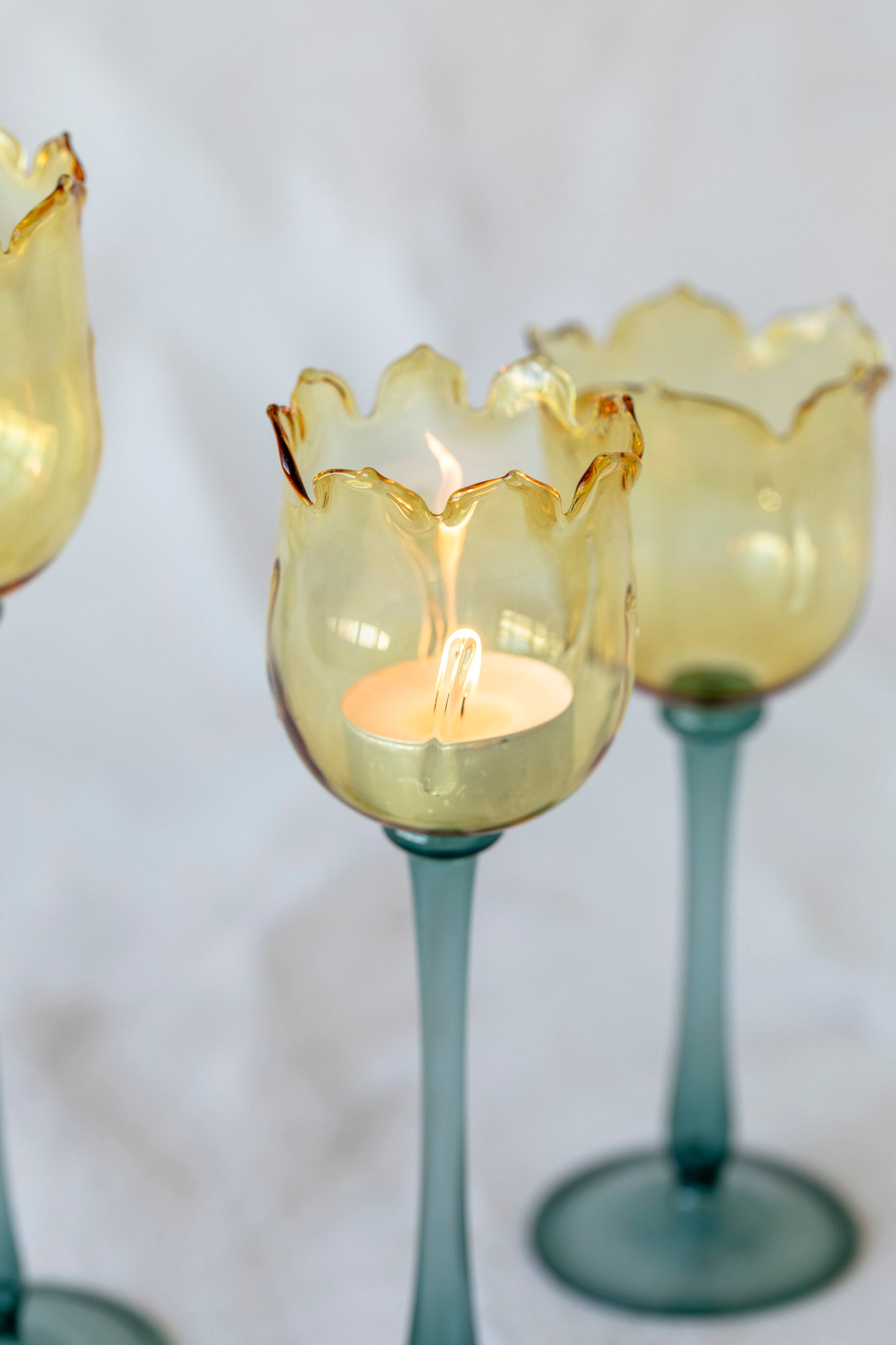 Eternal Bloom Candle Holders in Yellow/Dark Green